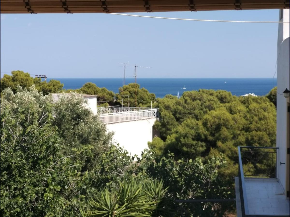Aelia Houses Agia Marina (Aegina) Exterior foto